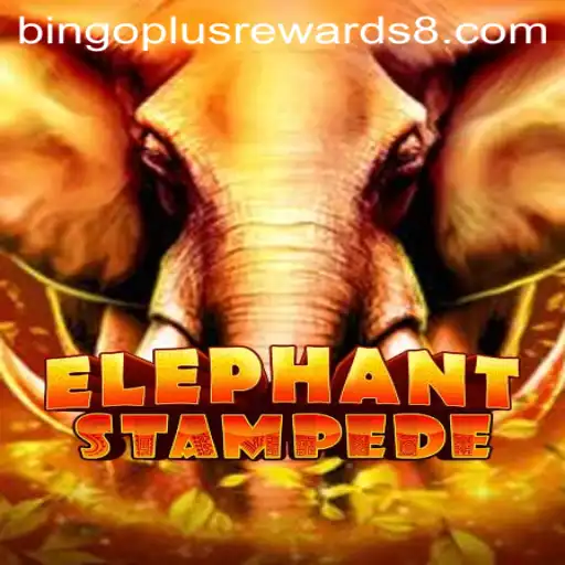 ElephantStampede: The Ultimate Bingo Plus Rewards Experience