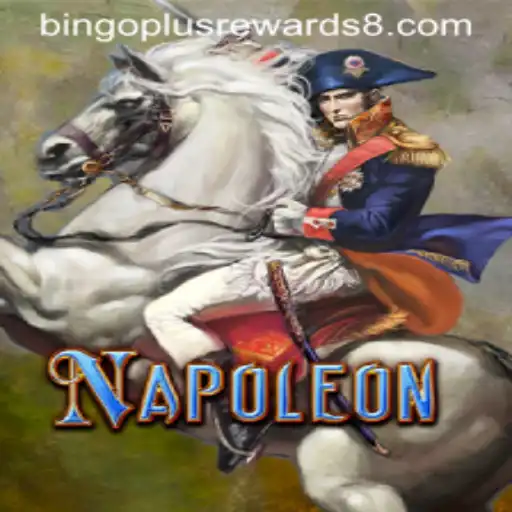 Exploring Napoleon Bingo with Rewards