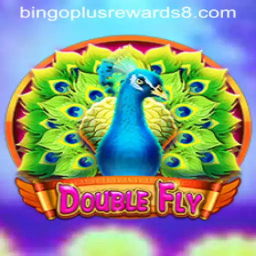 DoubleFly: A New Era in Bingo Gaming with Exciting Rewards