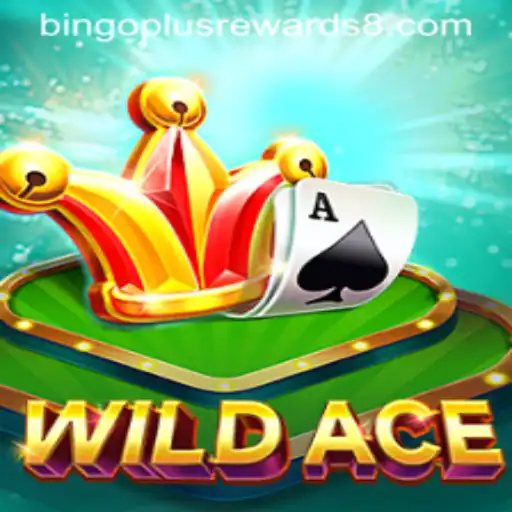 Exploring WildAce: A Captivating Bingo Plus Rewards Gaming Experience